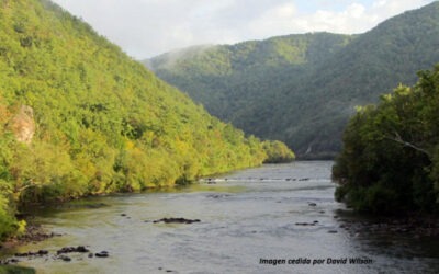 Nueva metodología para calibrar modelos hidrológicos de manera más robusta