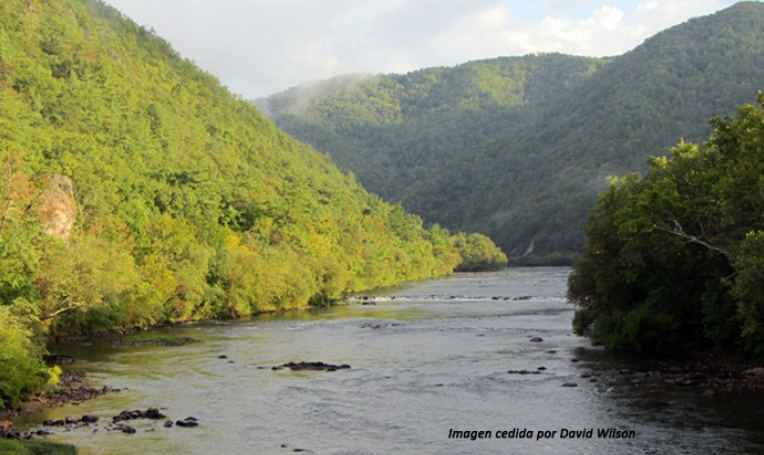 Nueva metodología para calibrar modelos hidrológicos de manera más robusta