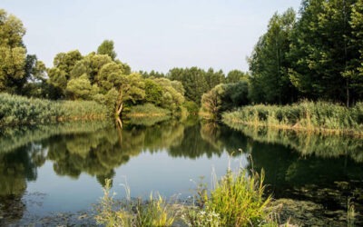 El IIAMA trabaja en el desarrollo de un sistema de apoyo a la decisión para la gestión eficiente de cuencas hidrográficas