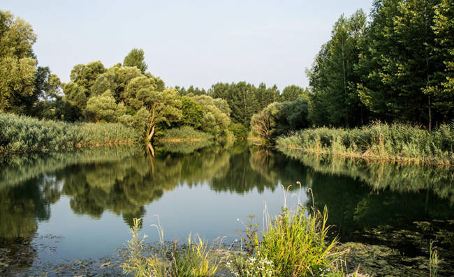 El IIAMA trabaja en el desarrollo de un sistema de apoyo a la decisión para la gestión eficiente de cuencas hidrográficas