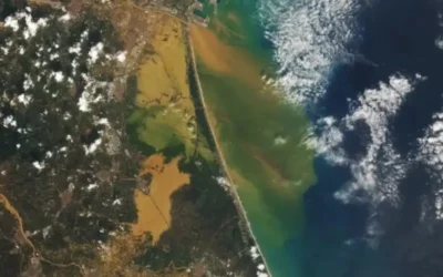 VRAIN e IIAMA de la UPV desarrollan una plataforma para prevención temprana y gestión de emergencias climáticas con IA