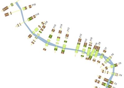 Ejemplo de resultado obtenido mediante la simulación de tipos funcionales de vegetación con RibAV 1D