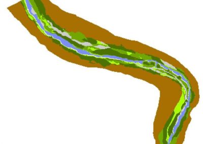 Ejemplo de resultado obtenido mediante simulación de tipos funcionales de vegetación con RibAV 2D.