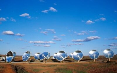 ¿Se puede calibrar un modelo de vegetación a través de la información proporcionada por satélites?